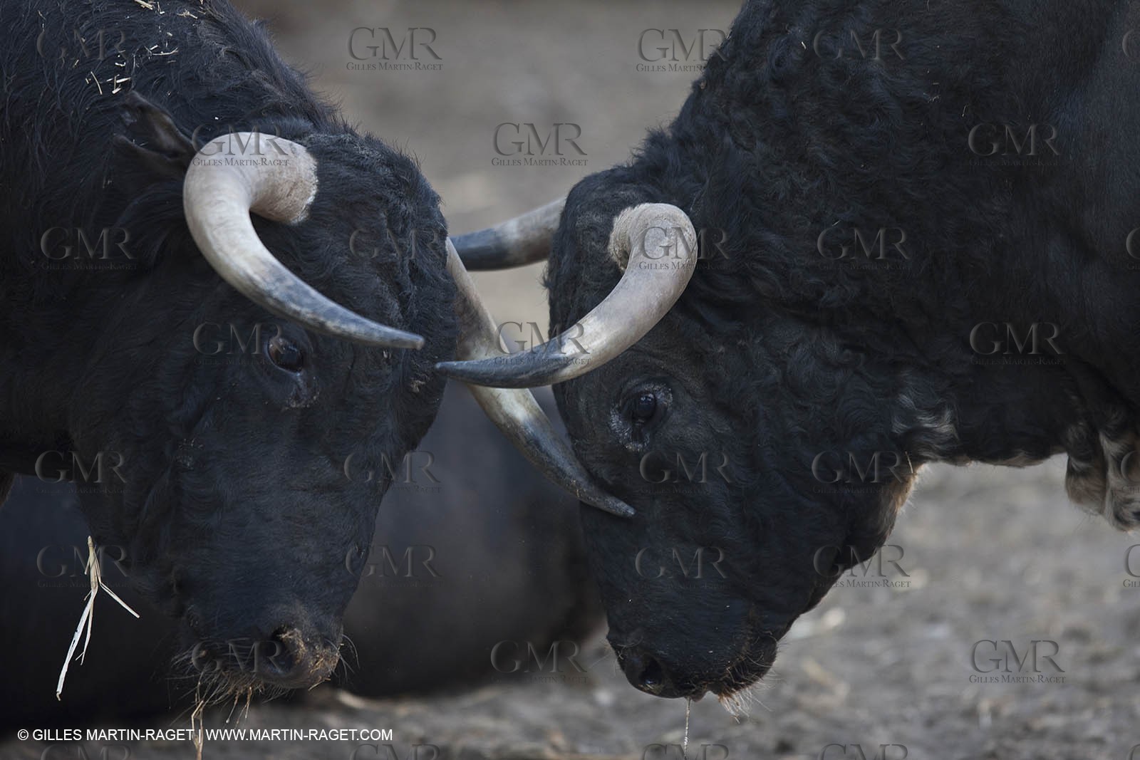 19 04 2011 - Arles (FRA,13) - Easter Feria toros