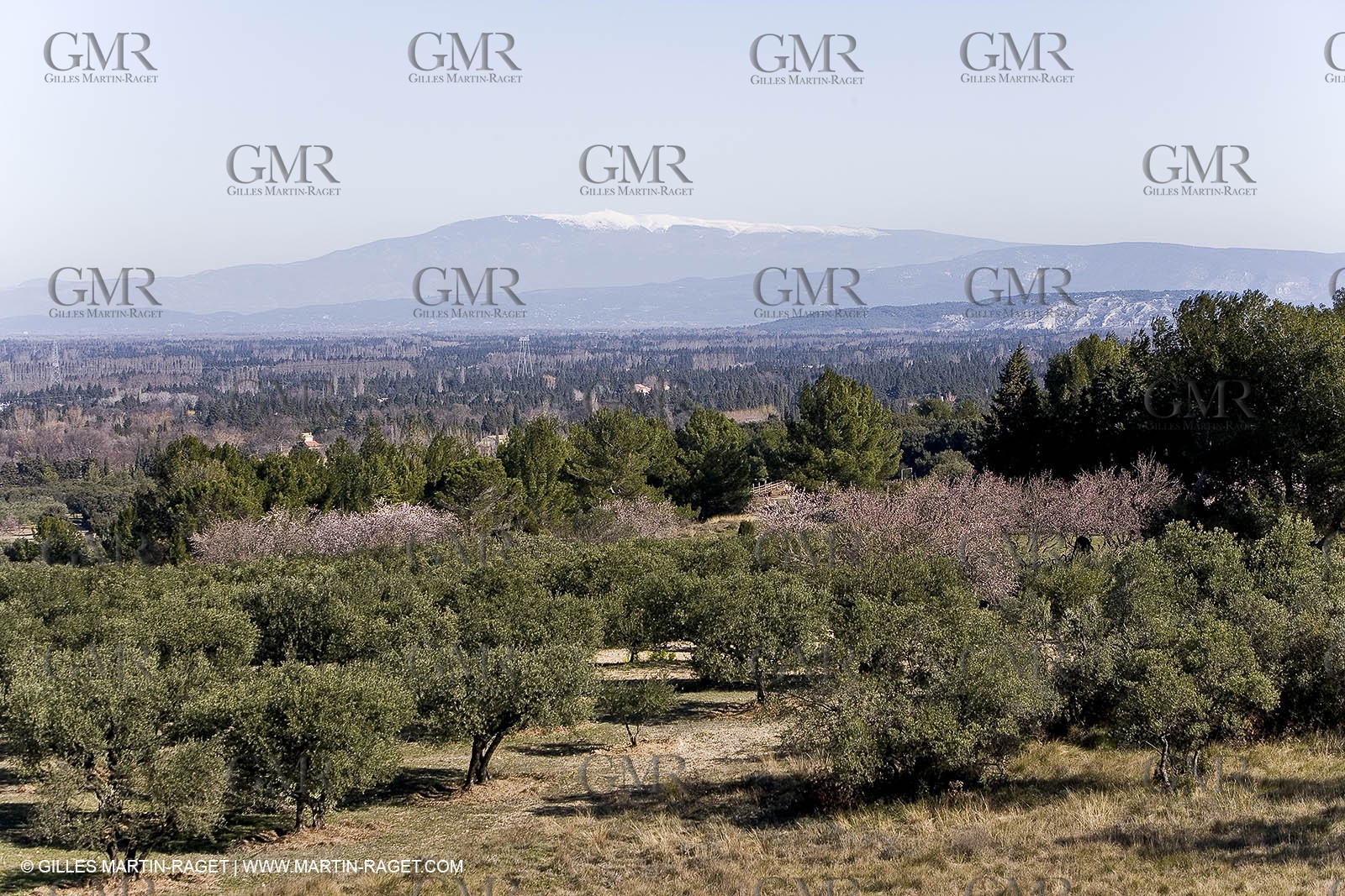 15 02 2007 - Provence - Les Alpilles
