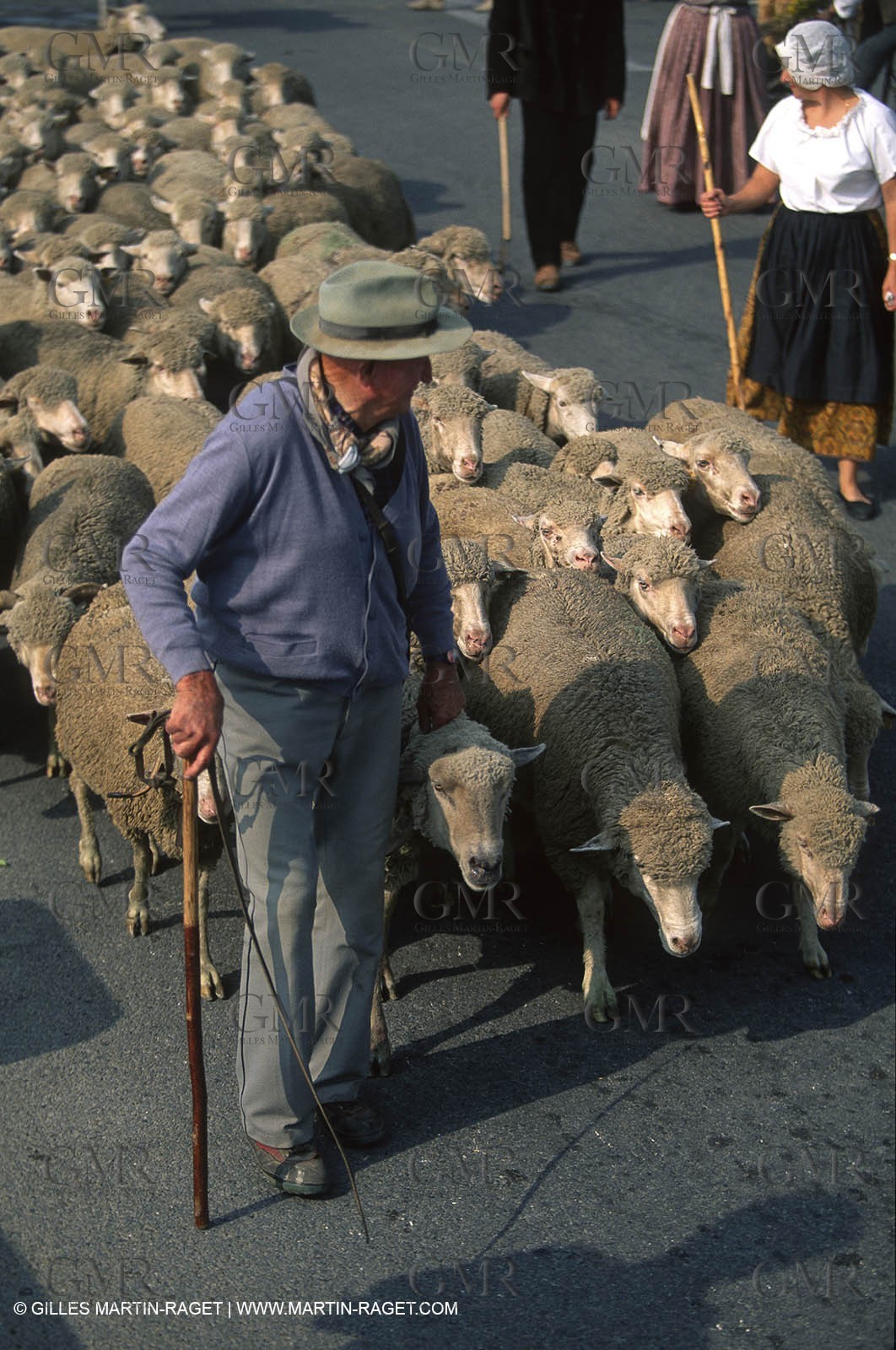 Saint Rémy de Provence (FRA,13) - Sheep stocks migration Fest