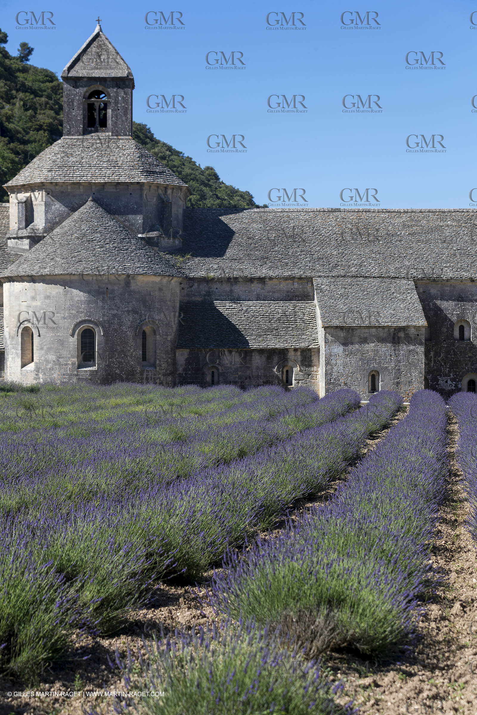 25 06 2018, Gordes (FRA,84), Abbaye de Sénanque