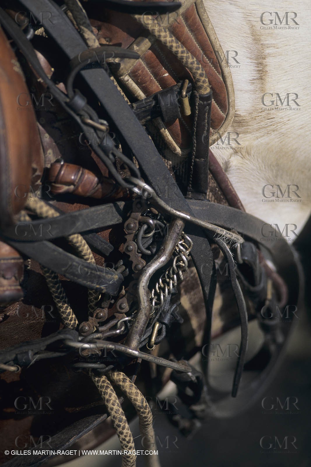 France, Provence, Camargue, Gardians de Camargue, métier, fêtes, élevage, tri