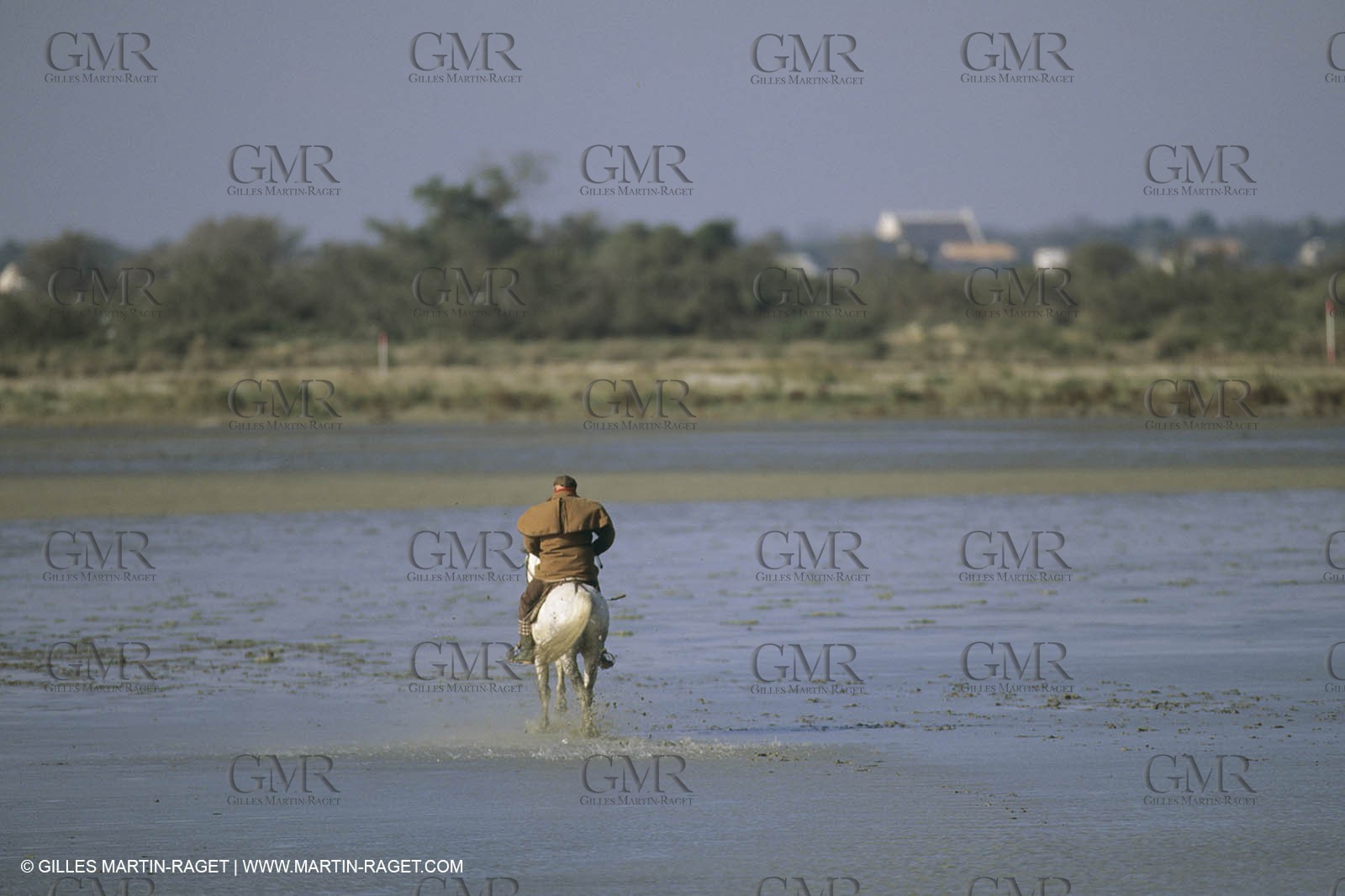 France, Provence, Gardians de Camargue