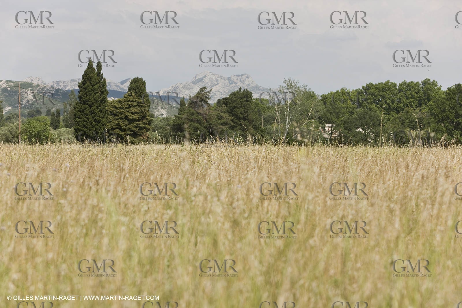 10 06 2008 - Arles and surroundings (FRA, 13) - Vincent Van Gogh south