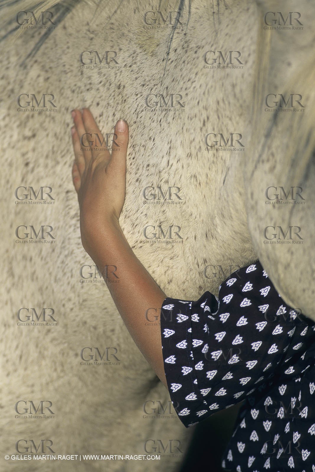 France, Provence, Camargue,work, fests, stock keeping