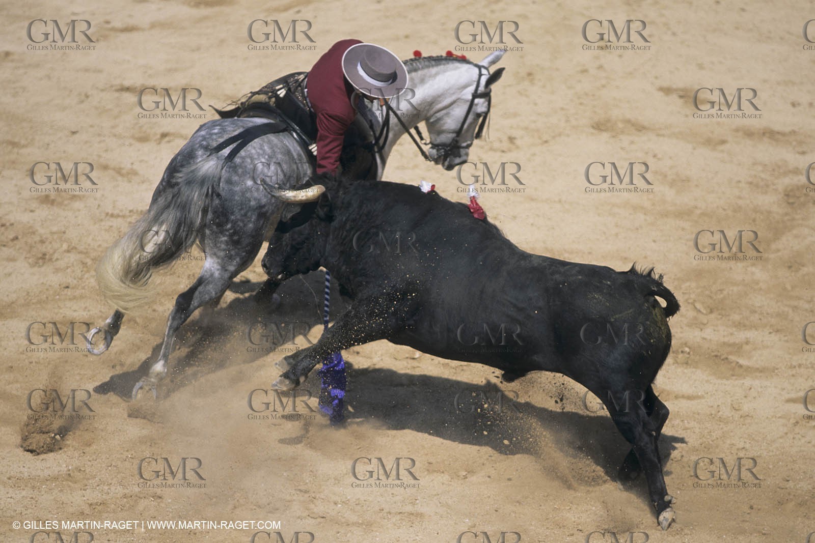 France, Provence, Traditions, Tauromachie, bull fights