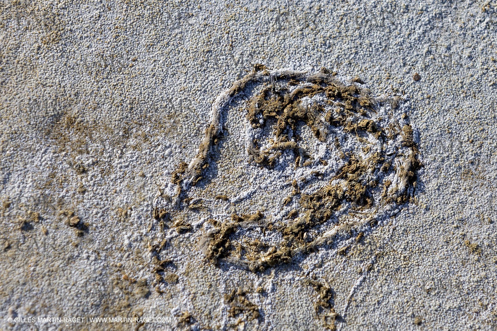 23 10 2014, Salins de Giraud (FRA,13), Salt & Speed 2014, Charlotte Consorti