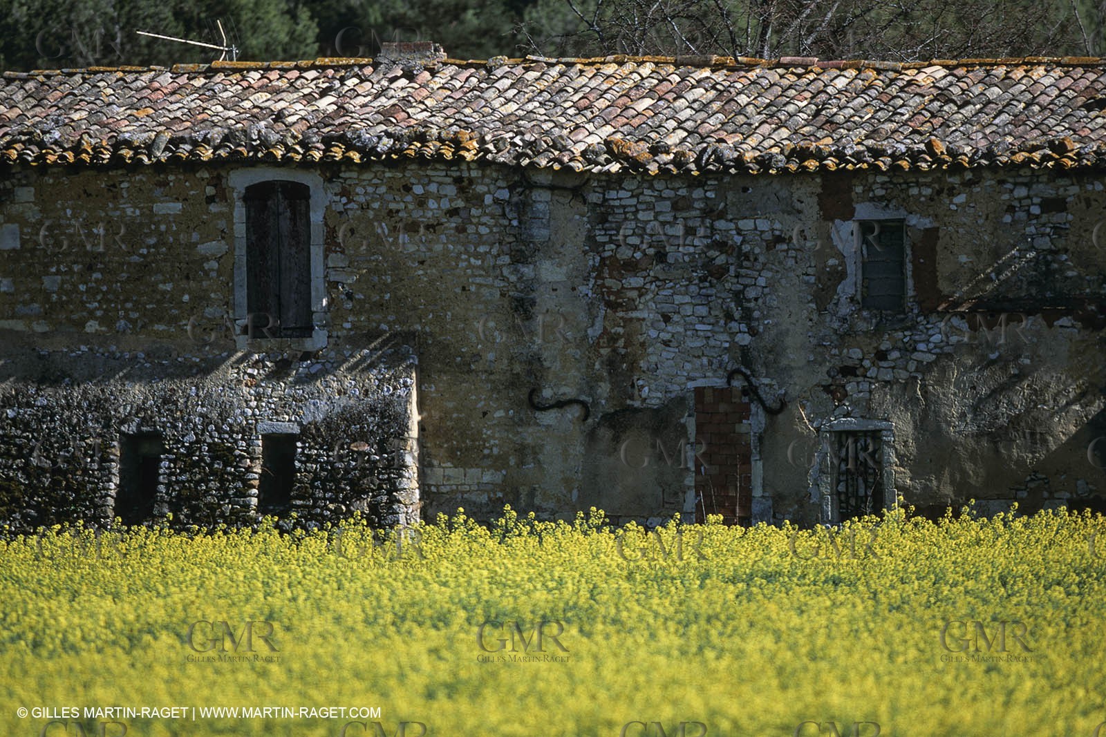 France, Provence, Paysages du Luberon, Luberon Landscapes