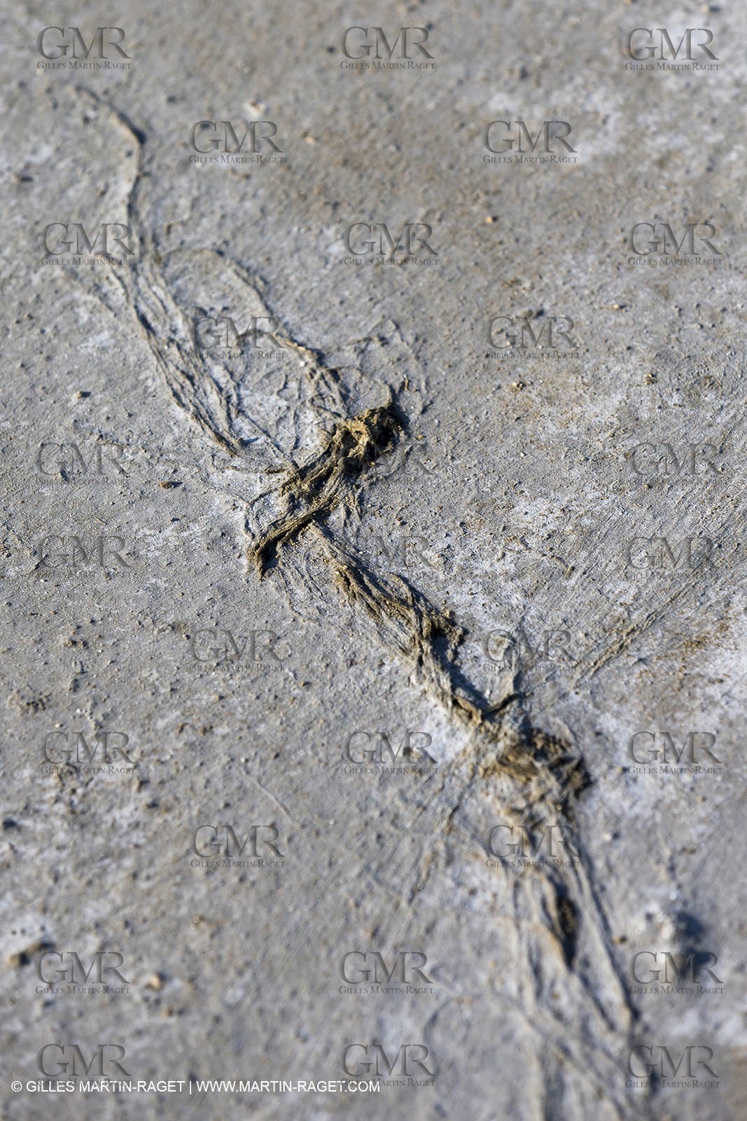 23 10 2014, Salins de Giraud (FRA,13), Salt & Speed 2014, Charlotte Consorti