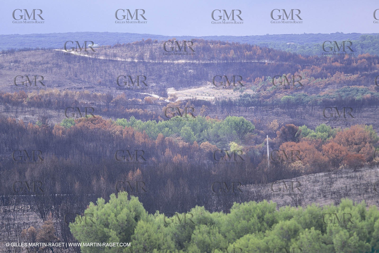 France, Languedoc Roussillon, Incendies, bushfires