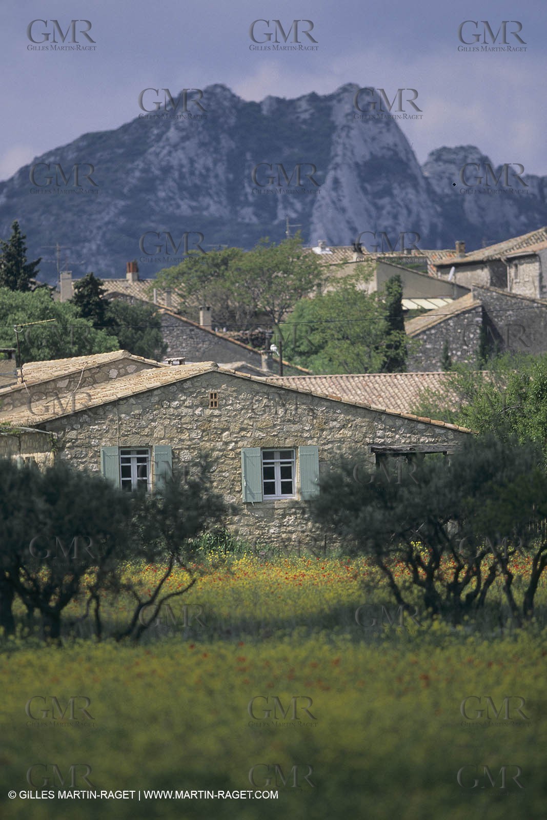 France, Provence, paysage des Alpilles, Alpilles landscapes