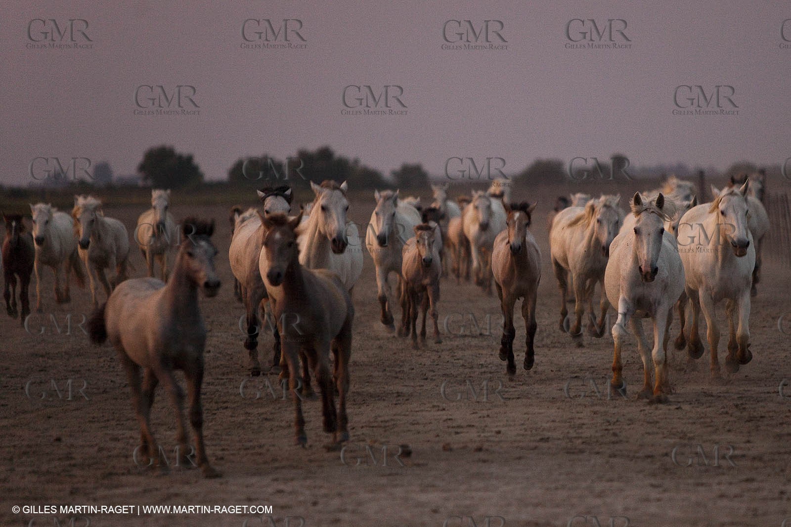 11 07 2010 - Les Saintes Maries de la Mer (FRA,13) - Evocation du Marquis de Baroncelli