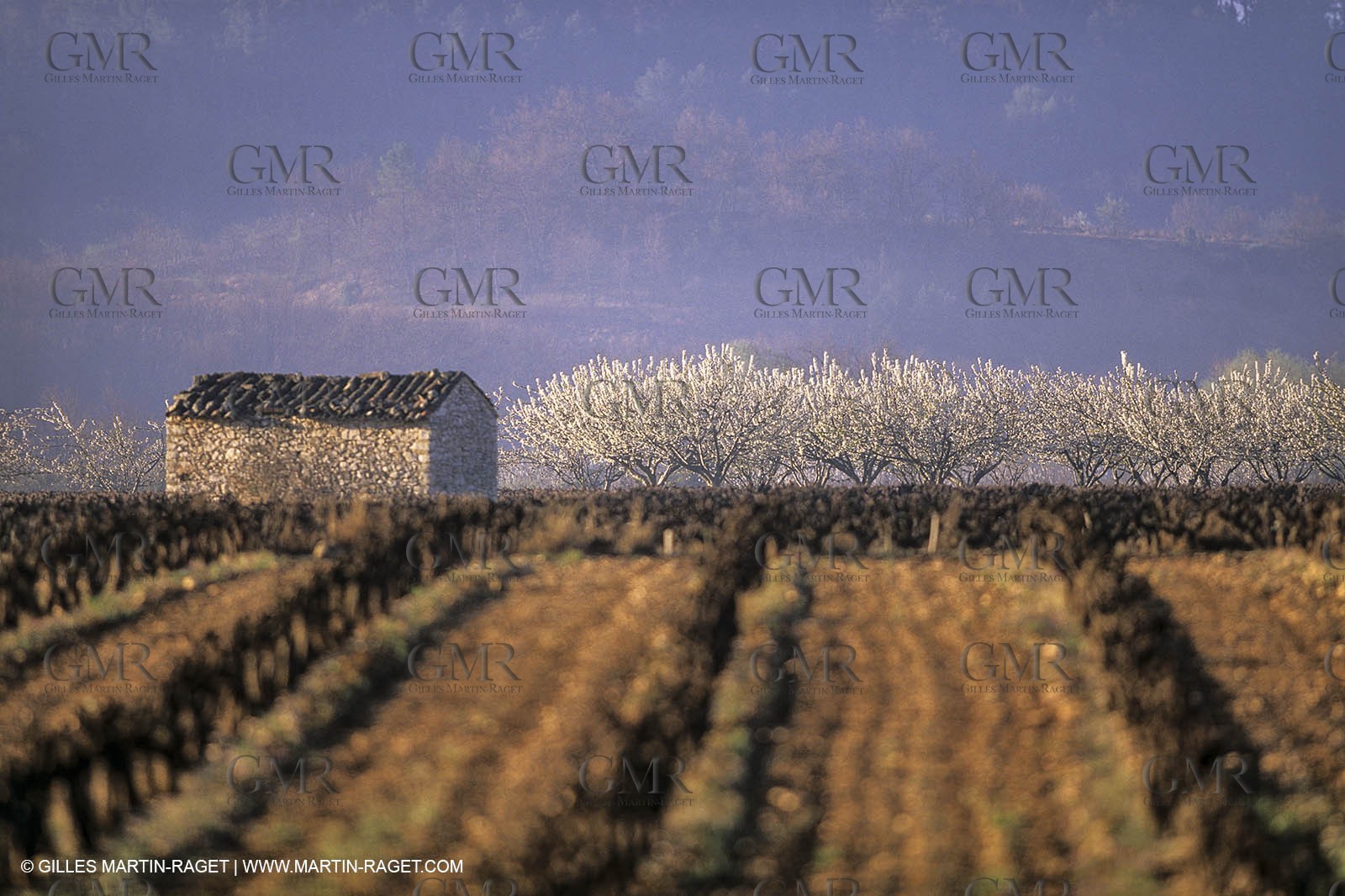 France, Provence, Paysages du Luberon, Luberon Landscapes
