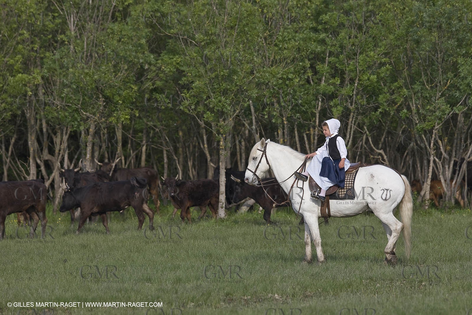 07 05 2008 - Le Cailar (FRA,30) - Stock work at Mas du Pont de Laute domain