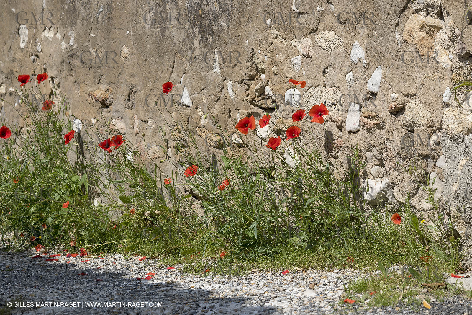 11 05 2018, Robion (FRA,84)