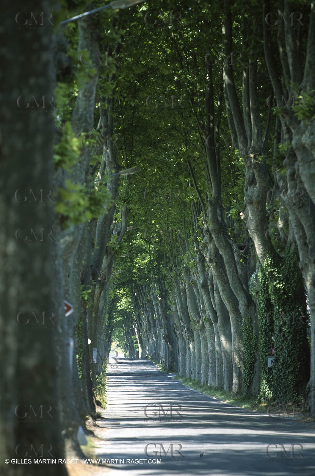 Durance river valley