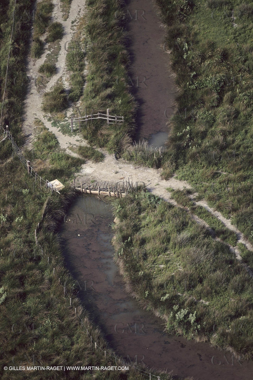 France, Provence, Camargue, Nature, marais, plage, beaches, marshes