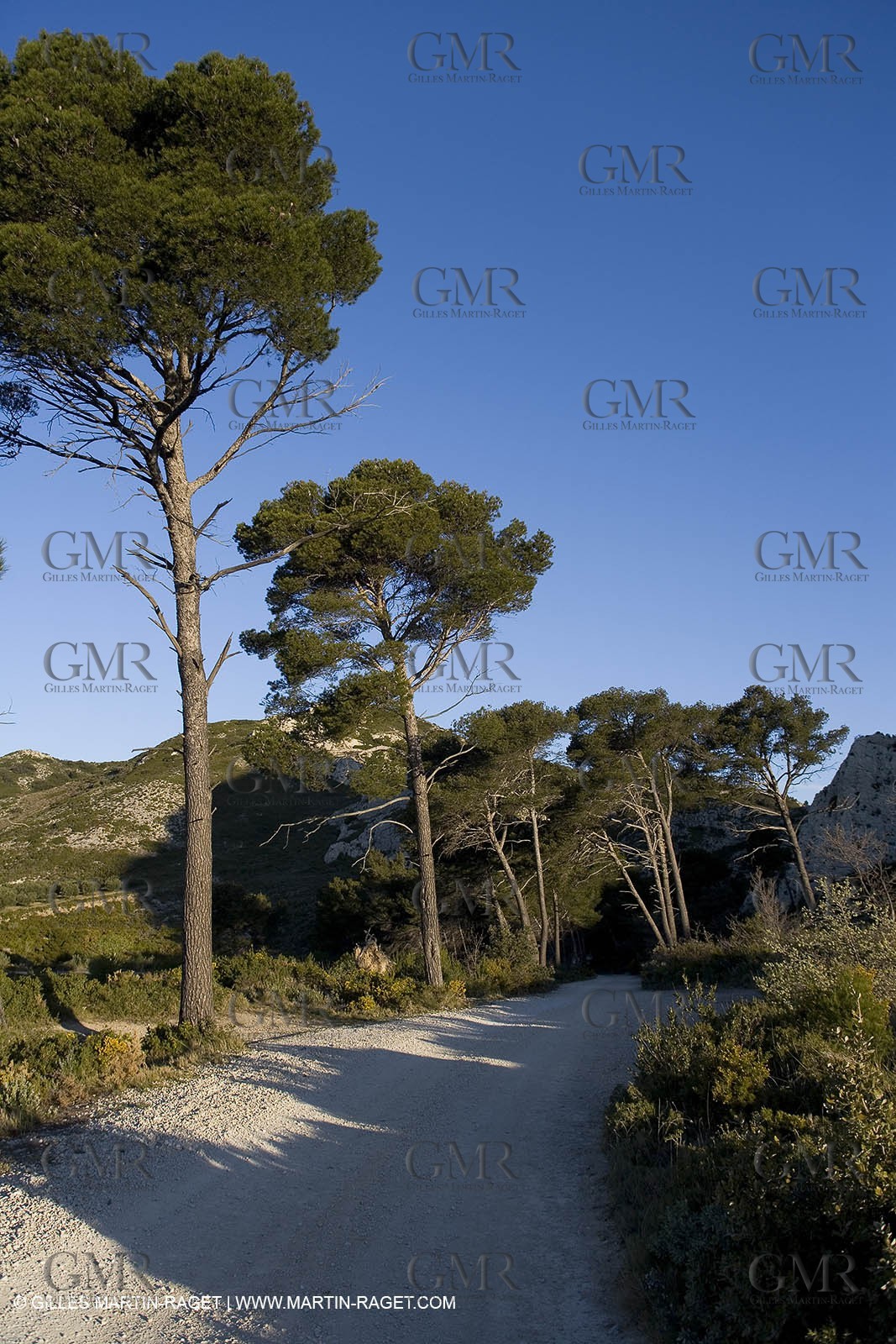 27 03 2008 - Les Baux de Provence (FRA,13) - Alpilles hills landscapes