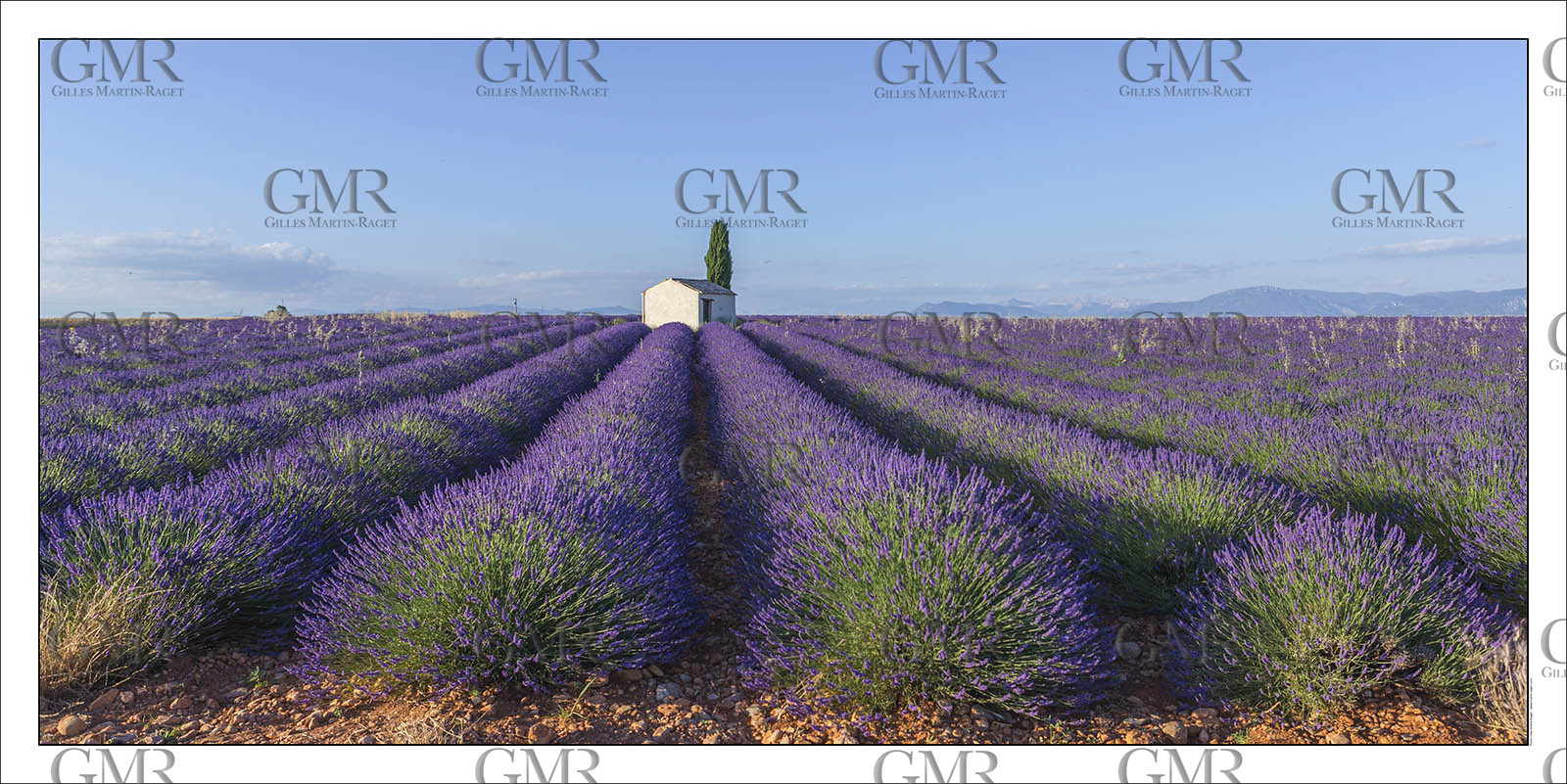 Product: in house made quality print on 8 ultrachome colors Epson ink Jet printer.Available sizes: . 50 x 100 cm. 100 x 200 cmAvailable papers: . Standard 250 gr glossy paper print, black streak, white margin, no signature. Top quality glossy 290 gr. paper, black streak, white margin, checked and signed by the author. Fine Art print (signed, numbered, stamped, registered) on demand. Other supports (Canvas, Acrylic, Metal) on demandPackaging: cylindric reinforced tubeShipping options: regular mail or Shipping companyClick on the basket icon to select your options and start the online ordering process