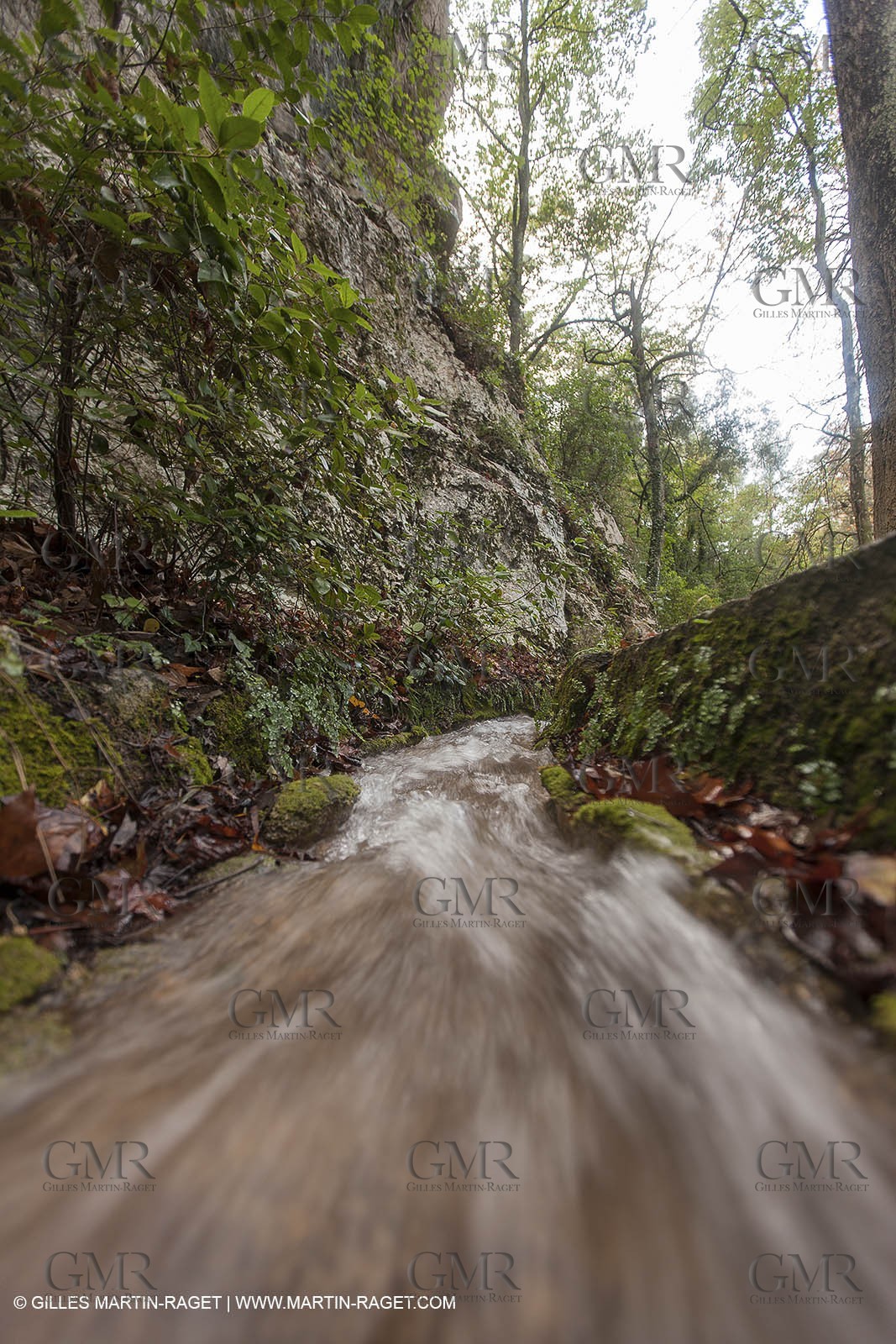 23 10 2012 - Gemenos (FRA) - Départemental Park of Saint Pons valley