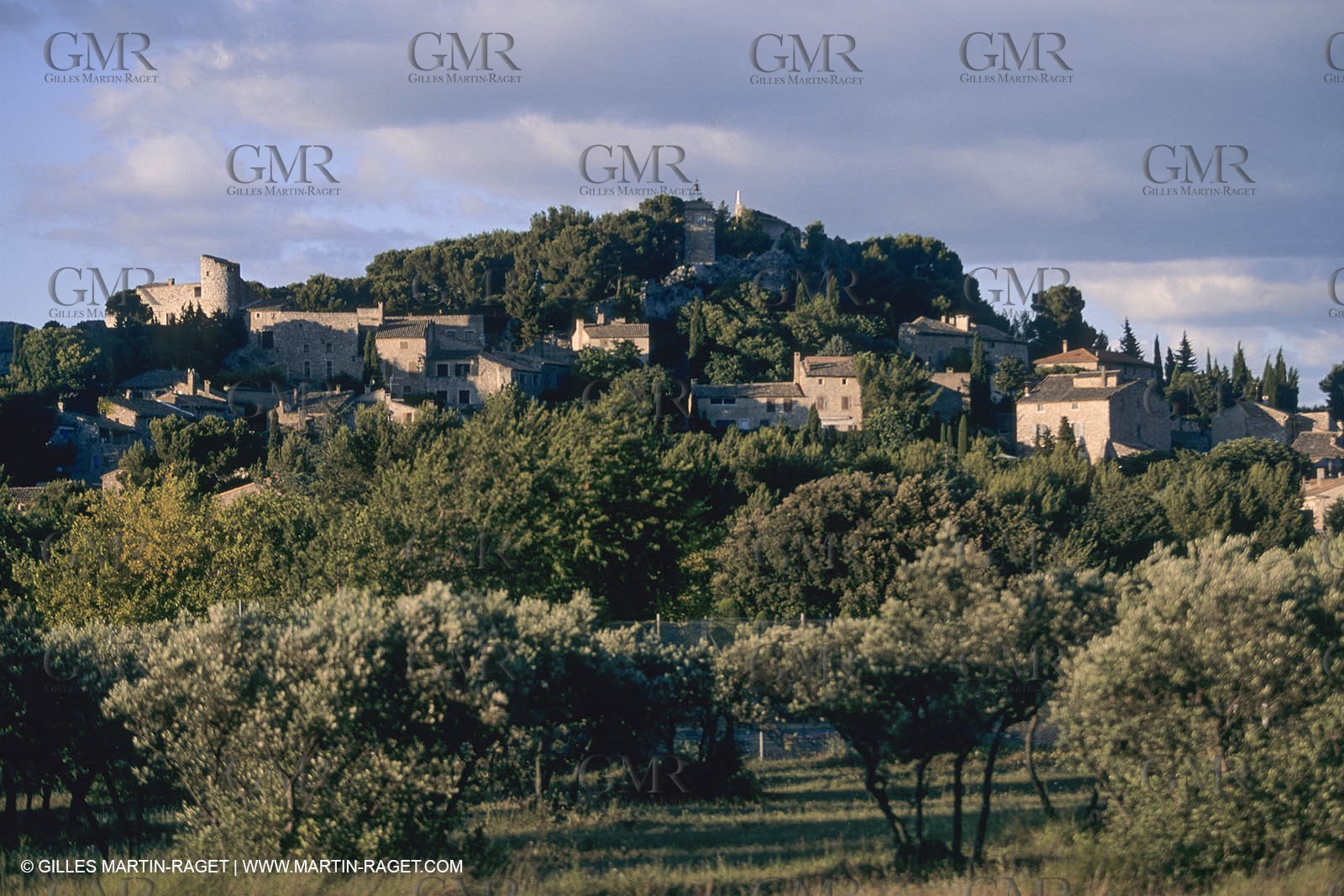 France, Provence, paysage des Alpilles, Alpilles landscapes, Eygalières
