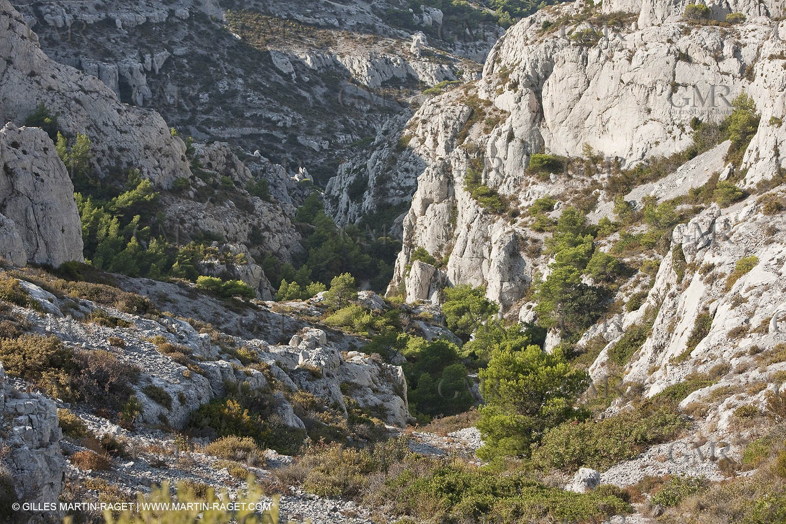 10 09 2009 - Marseille (FRA, 13) - Les Calanques - Massif de Marseilleveyre - Vallon de Mougranier - Vallon Saint Michel