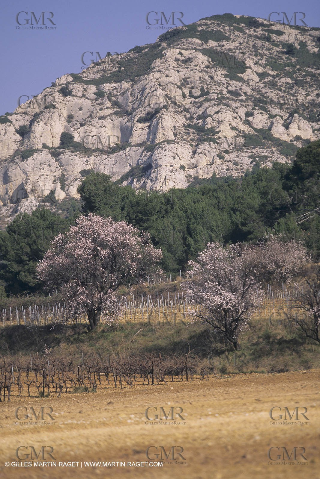 France, south, Alpilles landscapes