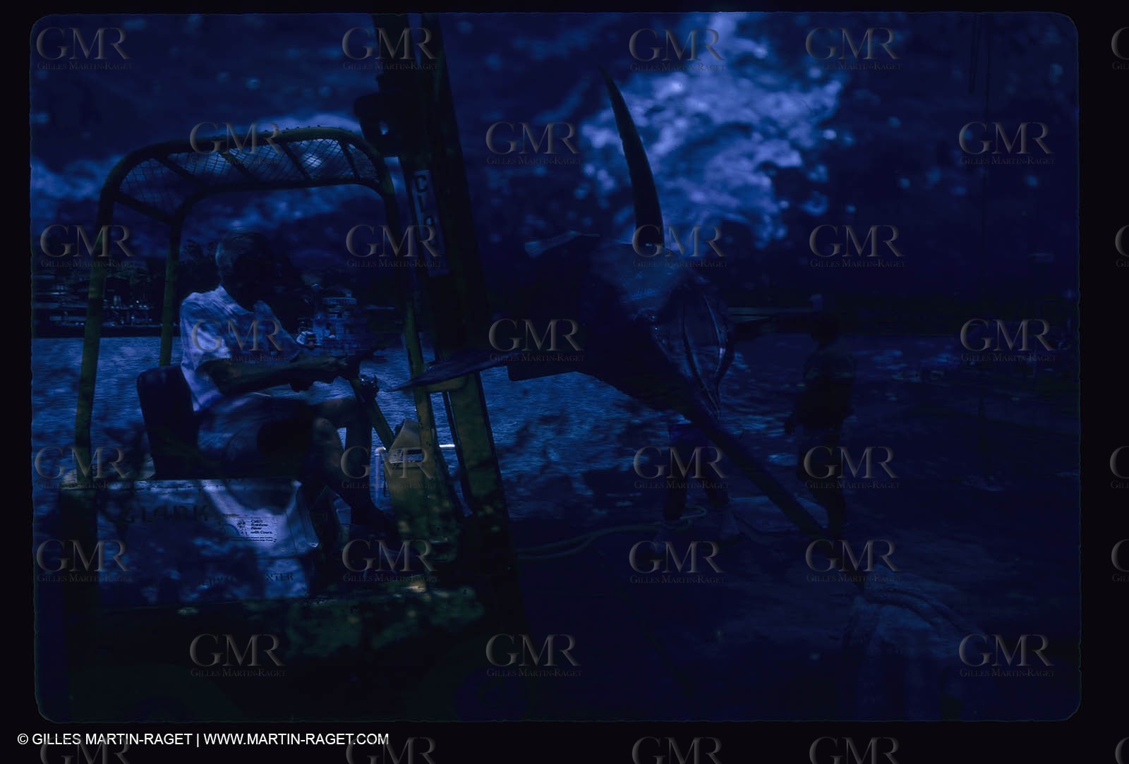 Water sports, Sportfishing, pêche au gros