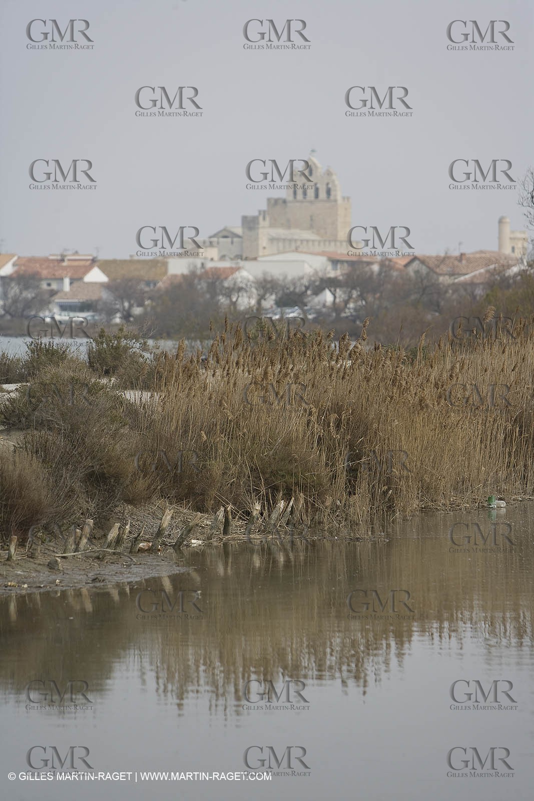 16 02 2008 - Les Saintes Maries de la mer (FRA, 13) - gardians cants