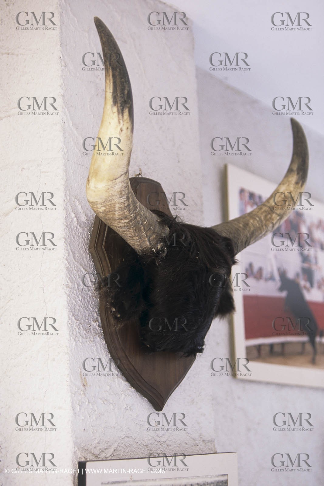 France, Provence, Camargue, Mas traditionnel de Camargue