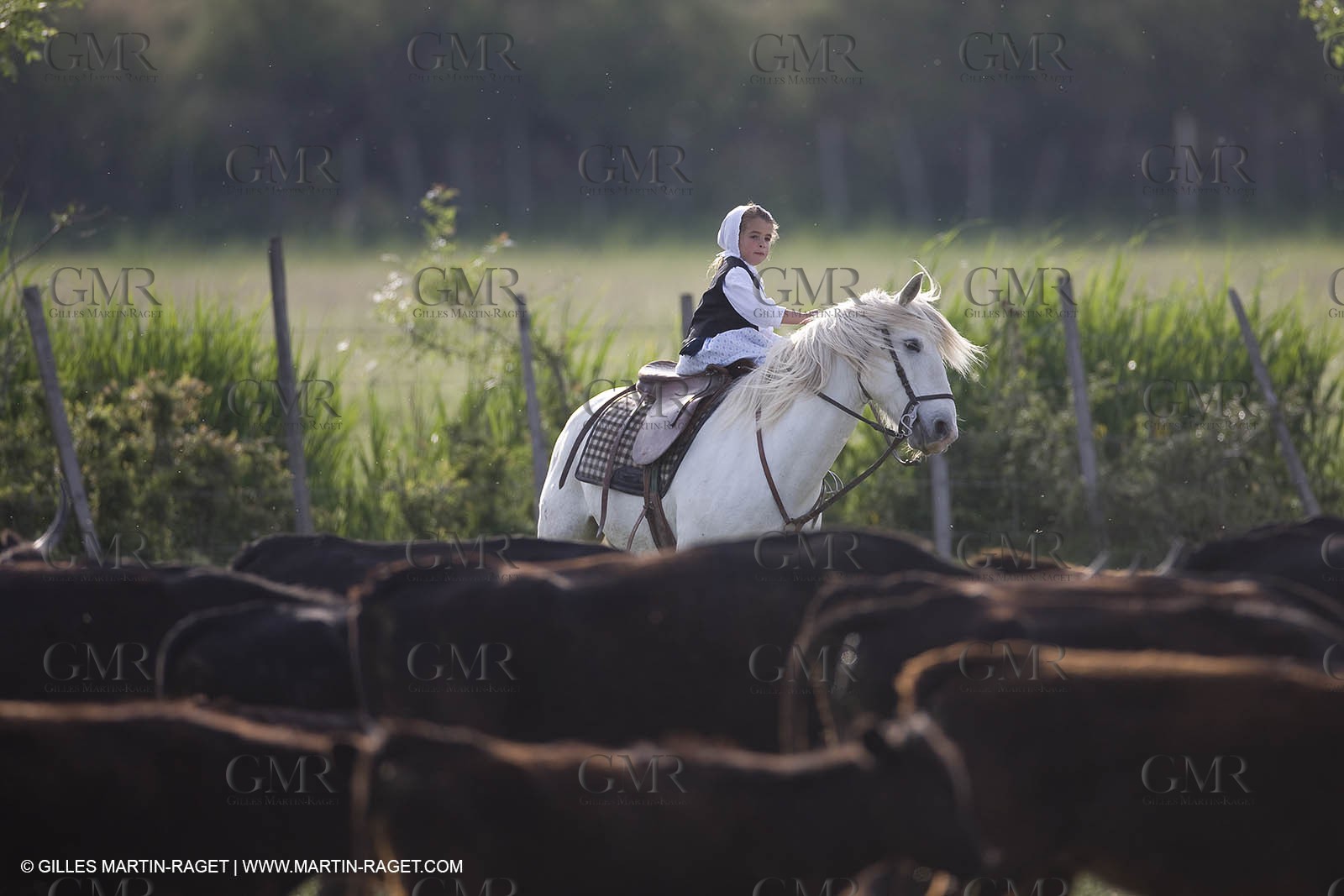 07 05 2008 - Le Cailar (FRA,30) - Stock work at Mas du Pont de Laute domain