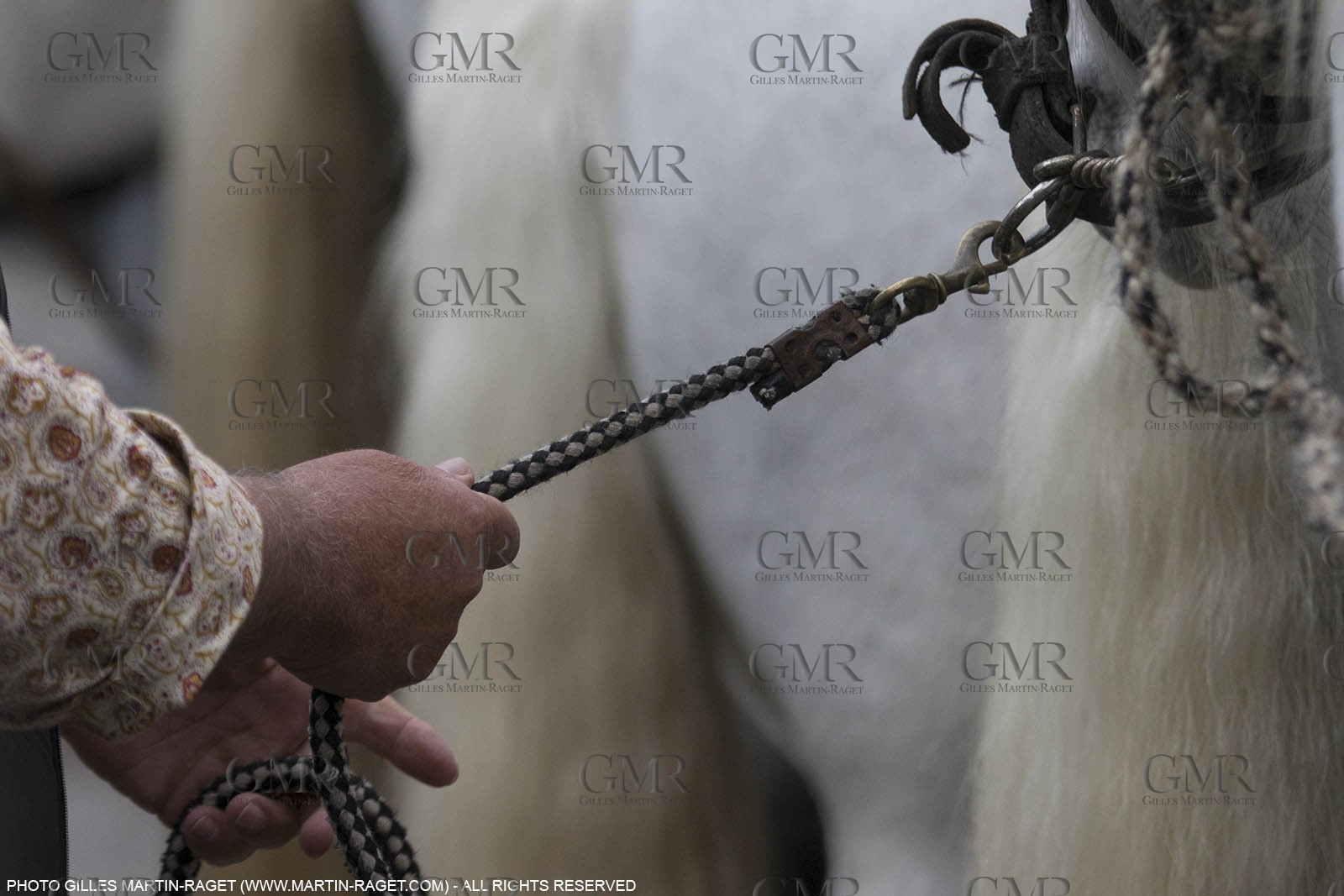 01 05 2015, Arles (FRA,13), Camargue Gardians Fest