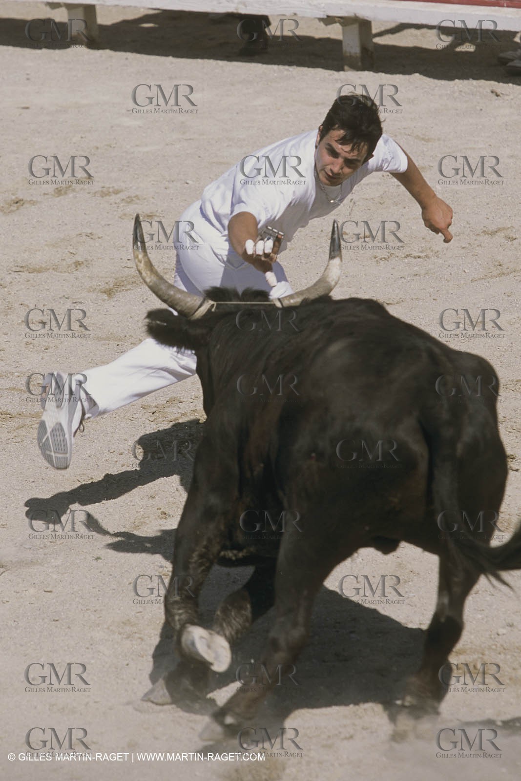 France, Provence, Course libre