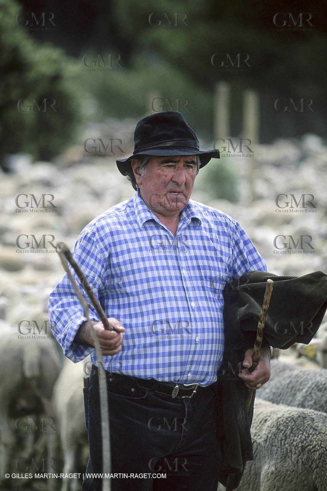 Saint Rémy de Provence (FRA,13) - Sheep stocks migration Fest