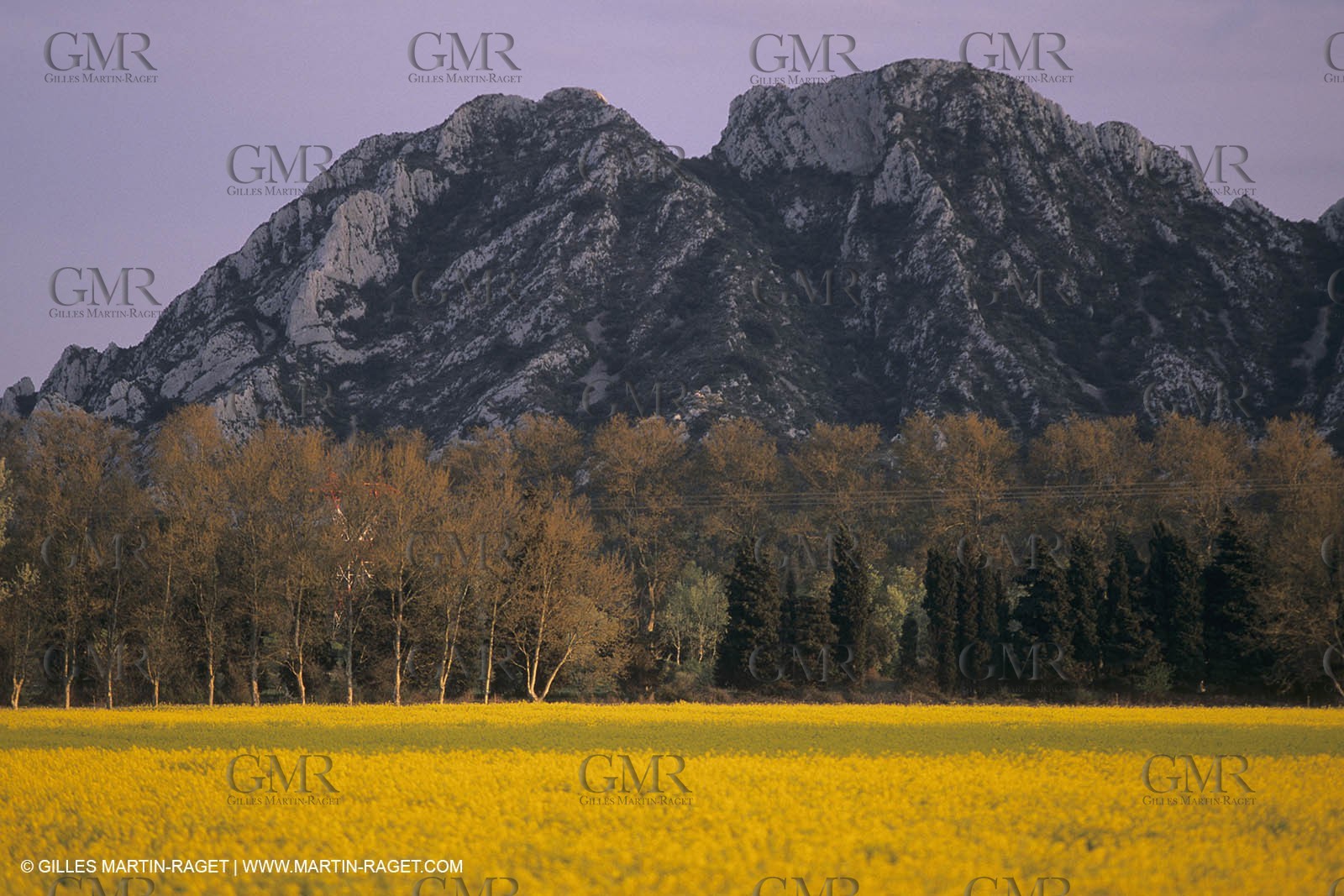 France, Région Provence Alpes Côte d'Azur, Paysage des Alipilles