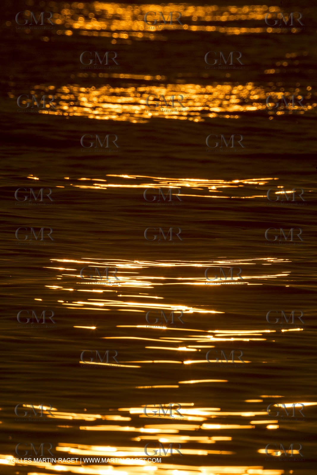 21 12 2014, Barcelona (ESP), Barcelona World Race 2014-15,