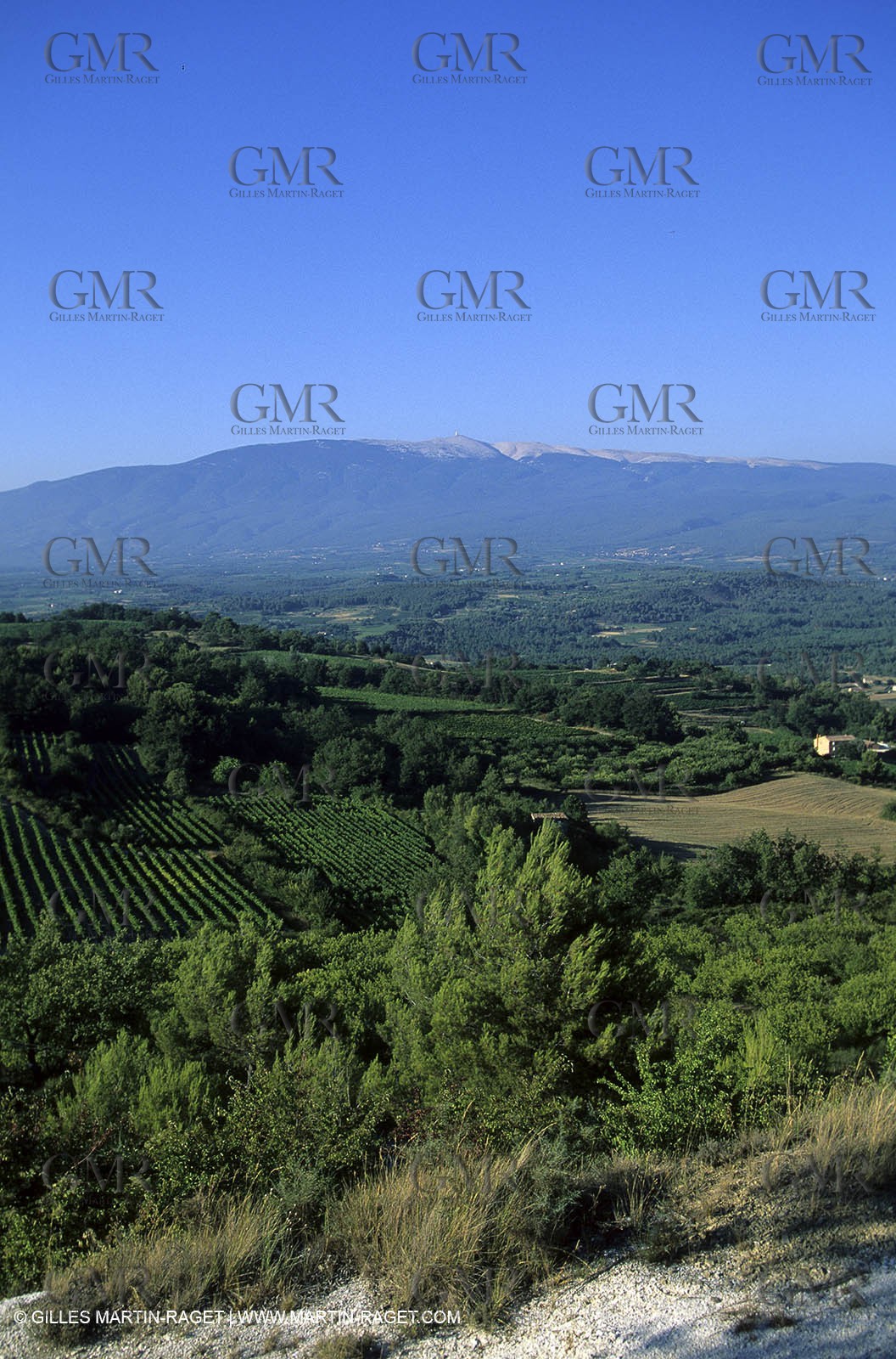 Provence - Cotes du Rhone - Mont Ventoux
