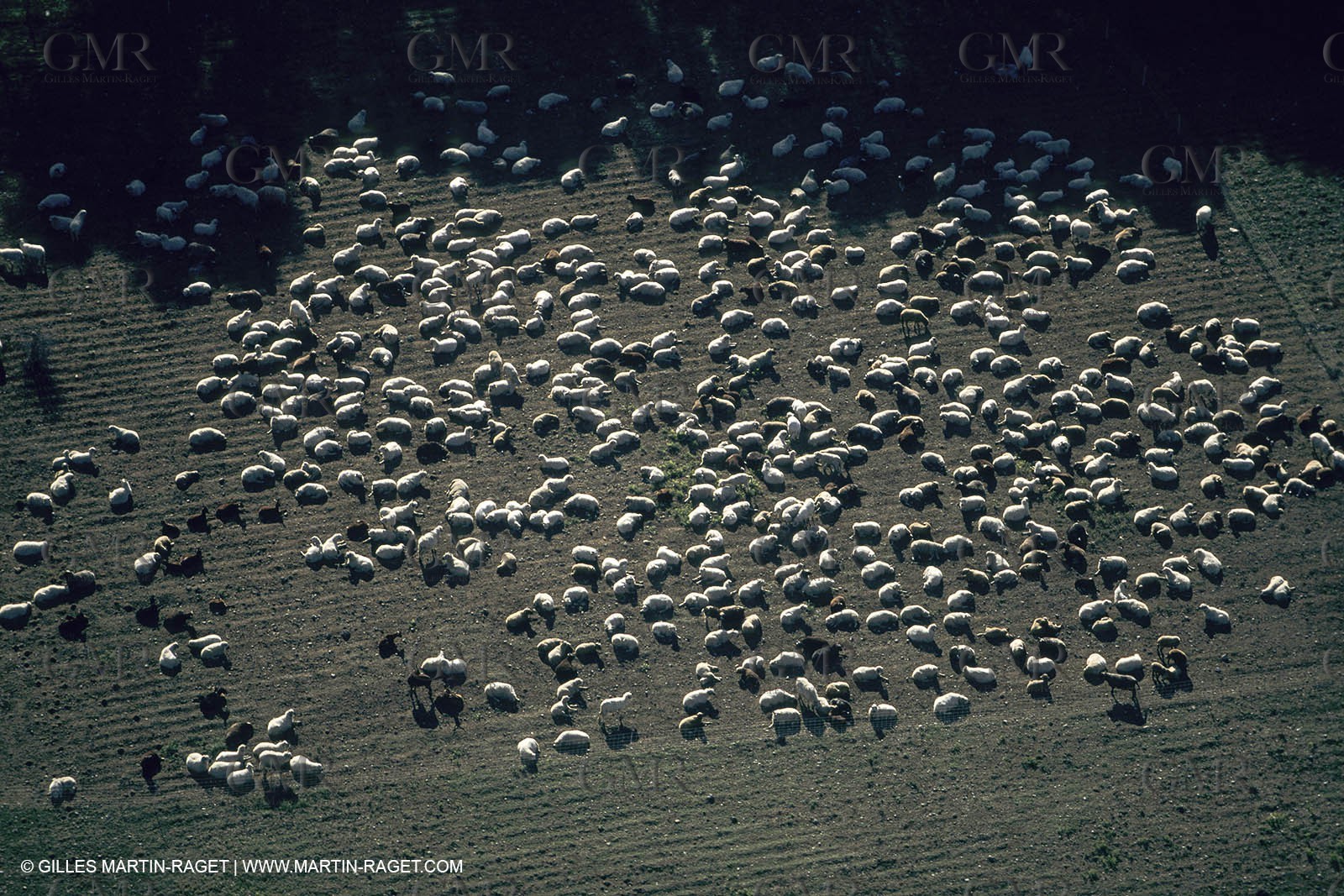France, Provence, Etang de Berre