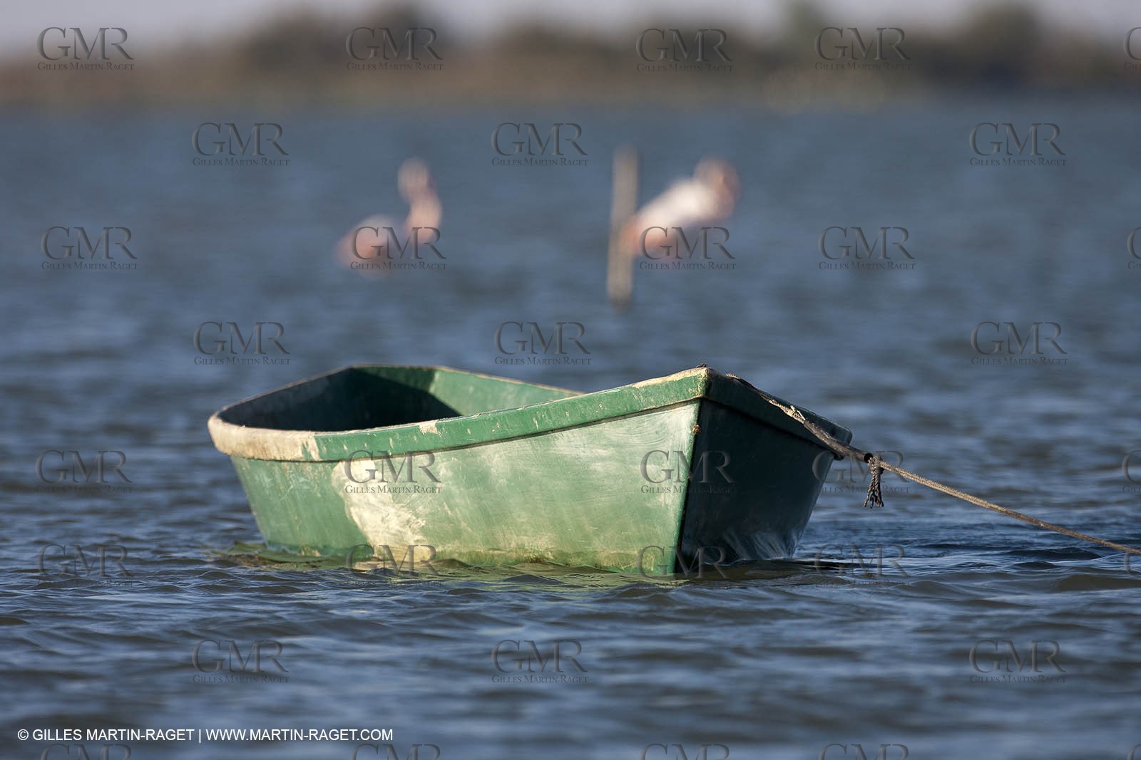 18 04 2011 - Les Saintes Maries de la Mer -  on Les Imperiaux pond