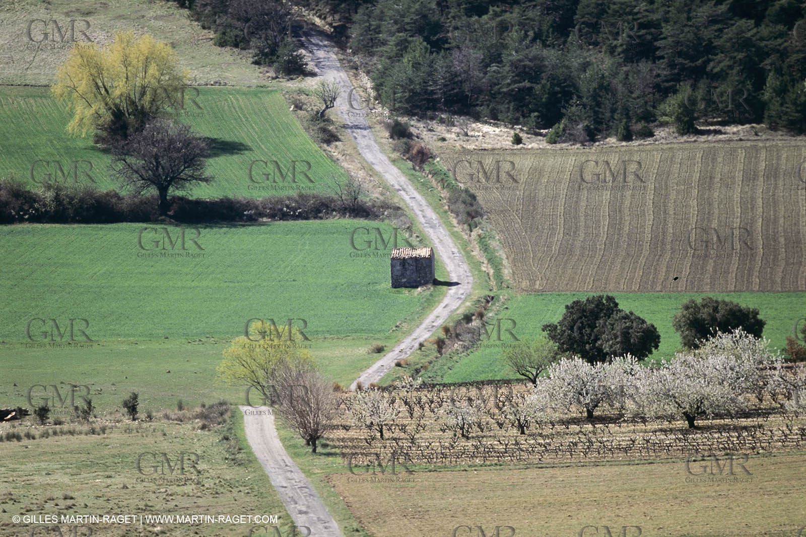 Luberon in winter near Saint Satrunin les Apt (FRA,84)