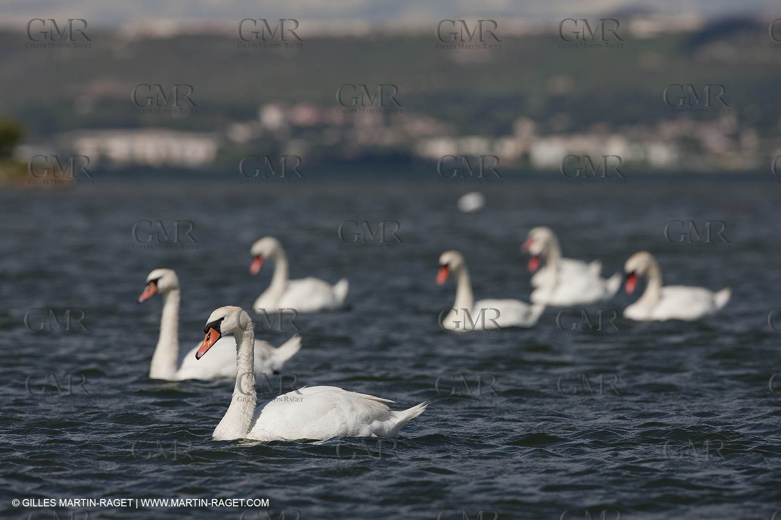 13 06 2012 - Berre l'Etang (FRA,13)