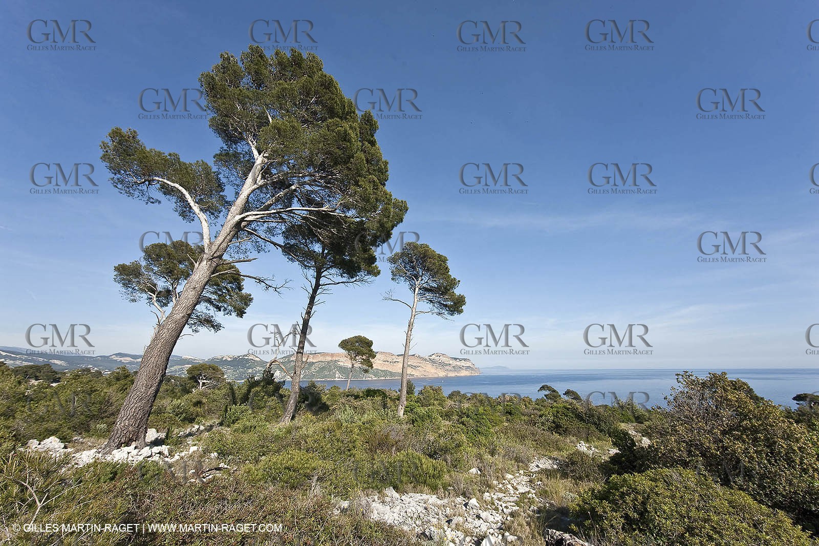 06 05 2009 - Marseille (FRA, 13) - Les Calanques - On Castelviel plateau