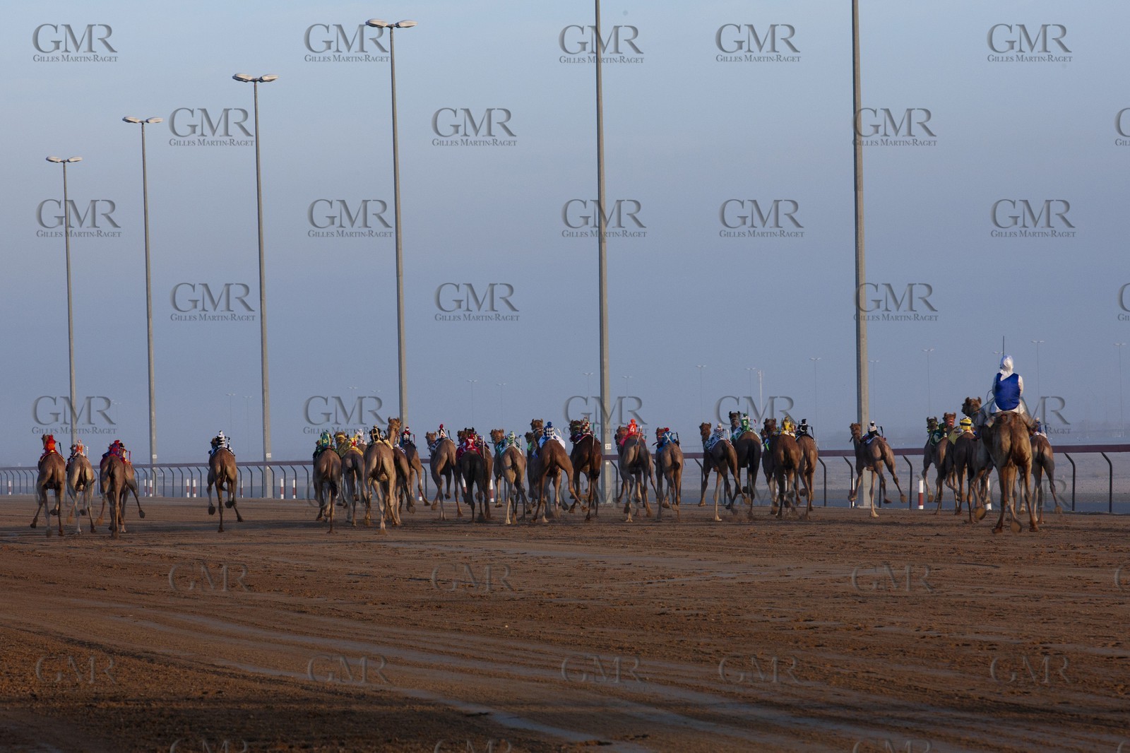 20 11 2010 - Dubai (UAE) - Camel races
