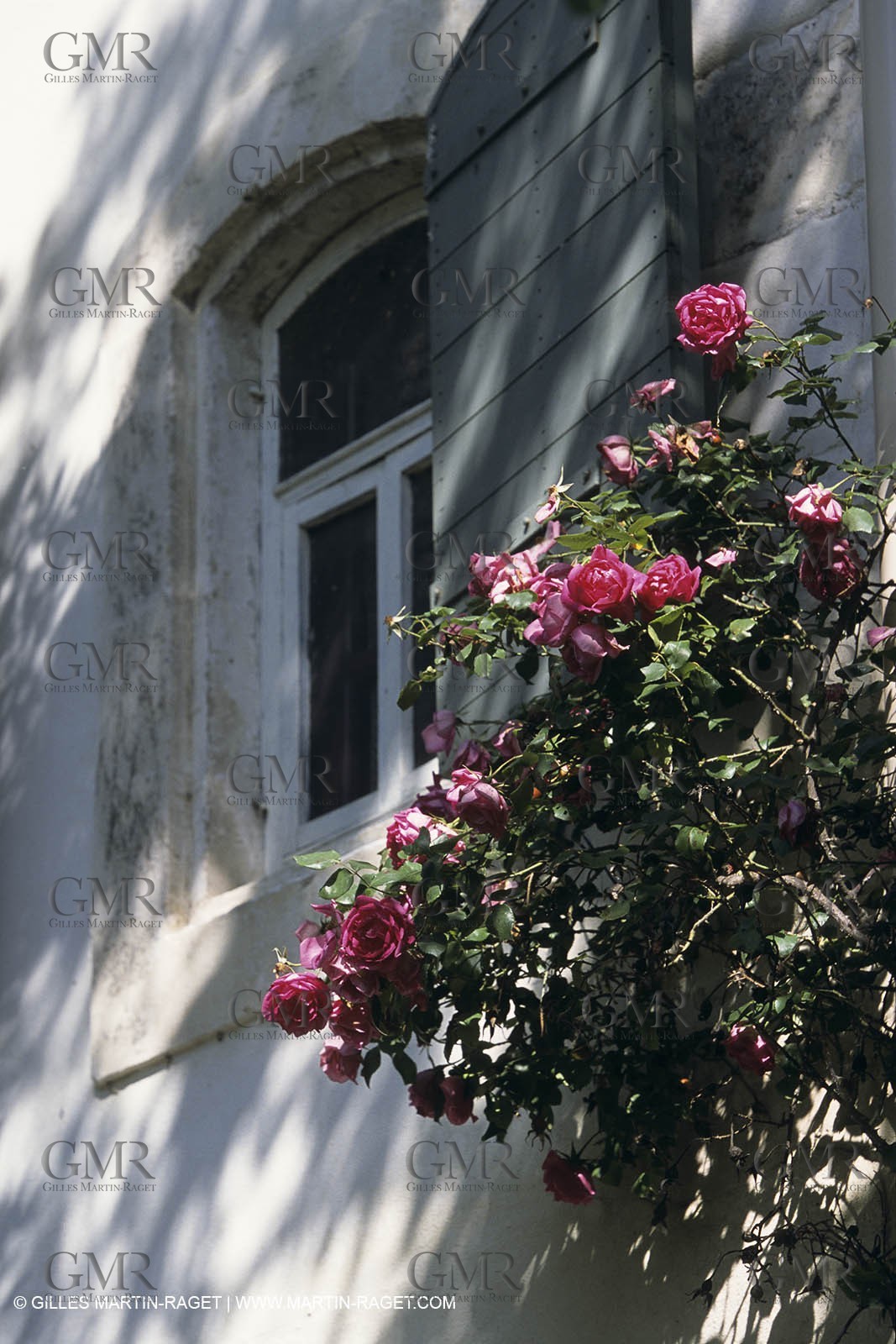 Camargue (FRA) - houses and cants from Camargue