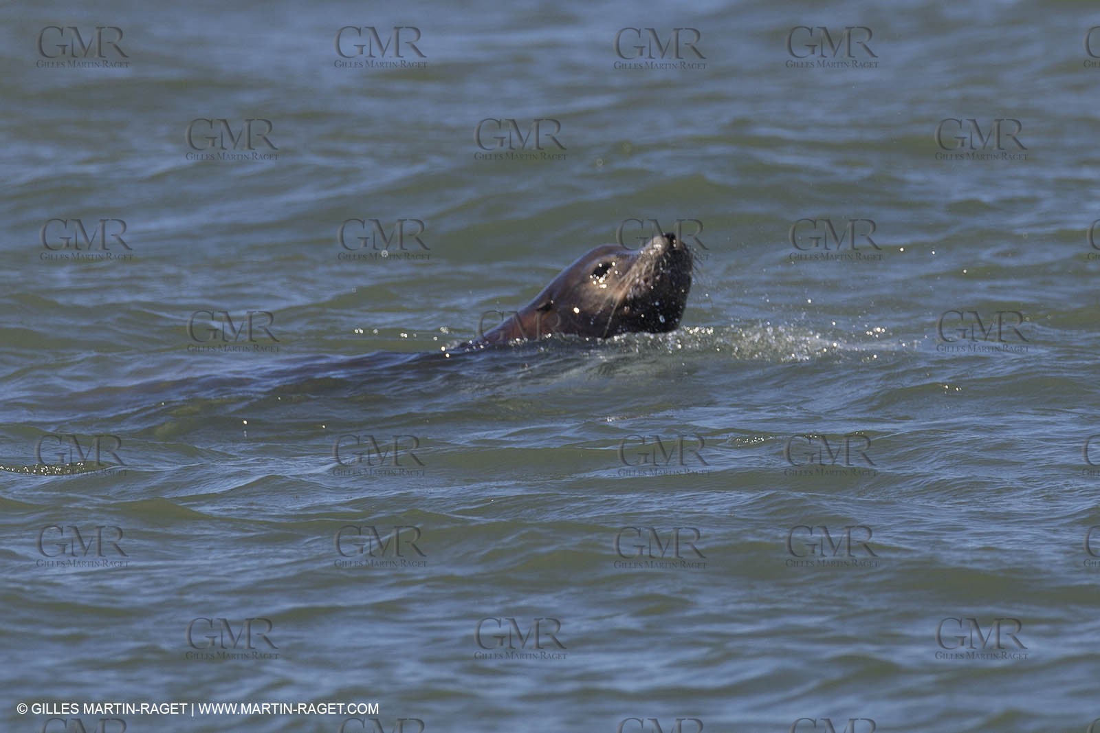19 09 2013 - San Francisco (USA,CA) - 34th America's Cup - Final Match - Racing Day 9.