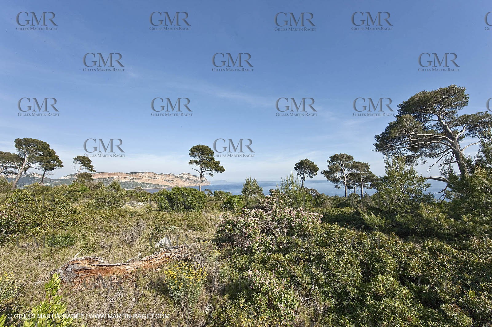 06 05 2009 - Marseille (FRA, 13) - Les Calanques - On Castelviel plateau