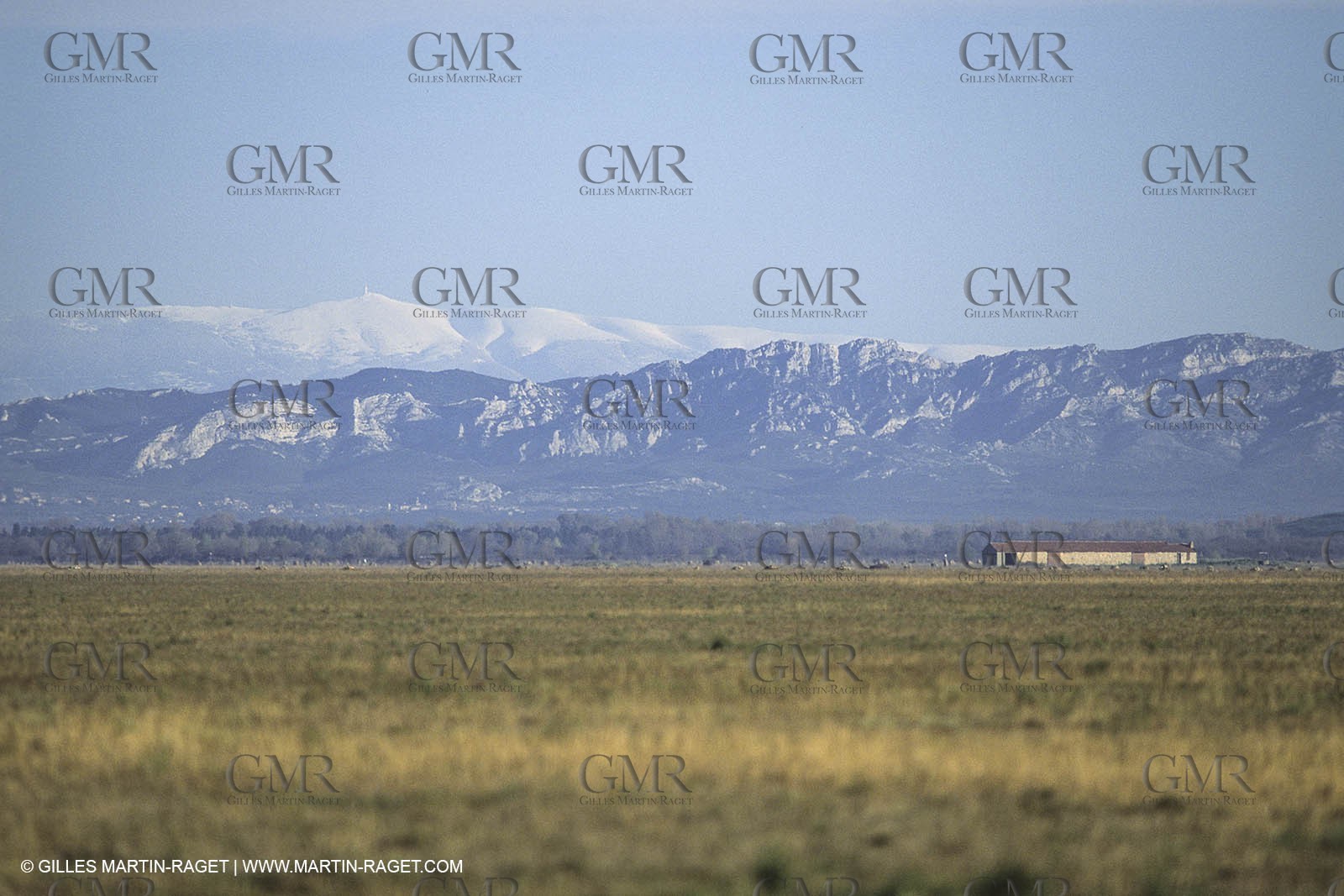 France, Région Provence Alpes Côte d'Azur, Paysage des Alipilles