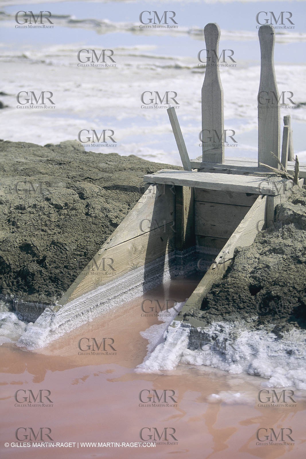 France, Provence, Camargue, Marais salant, Salted marshes