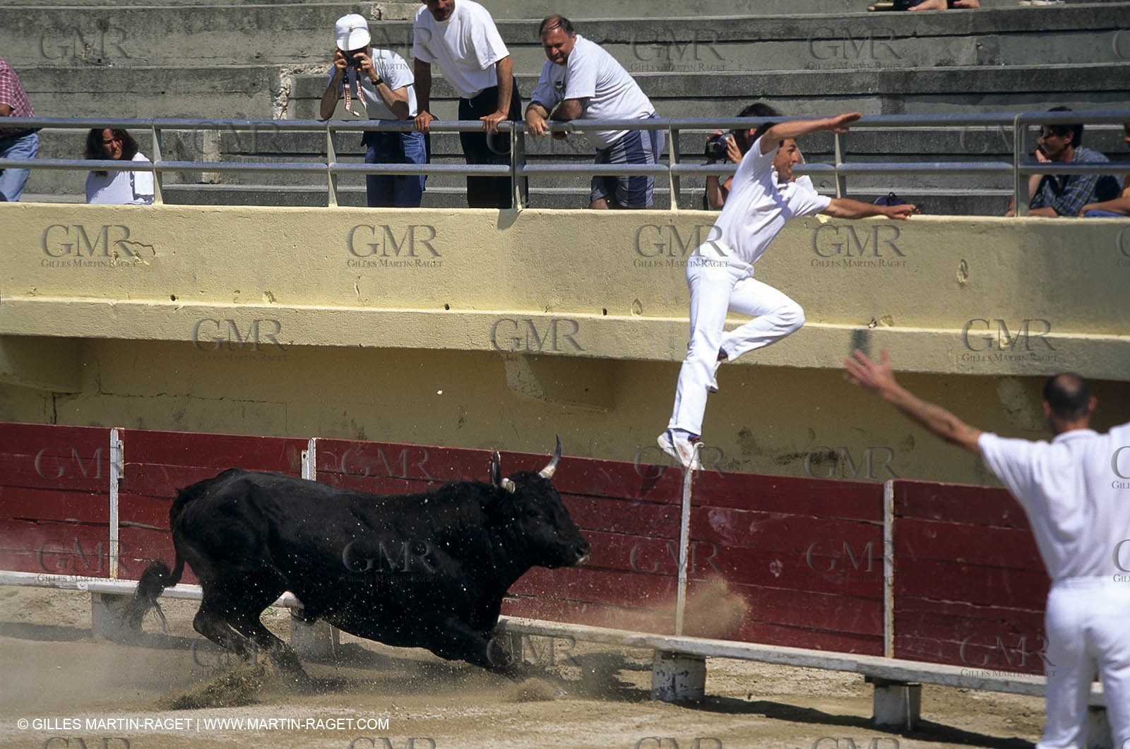 Gard, (FRA,30) - Camargue bull game