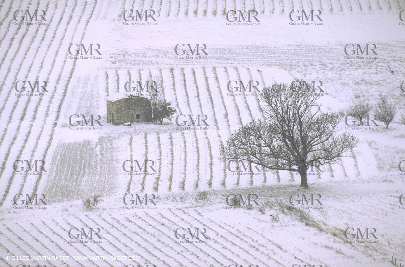 Sault Plateau in winter