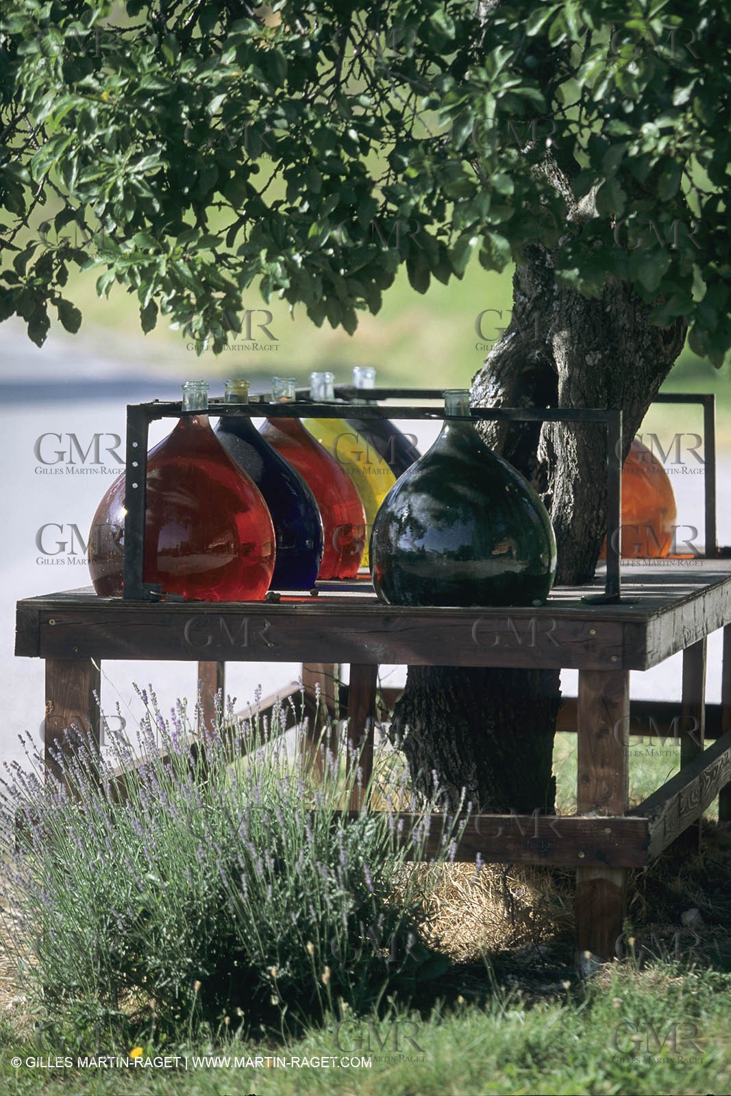 France, Provence, Route Napoléon